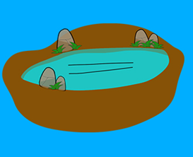 Water